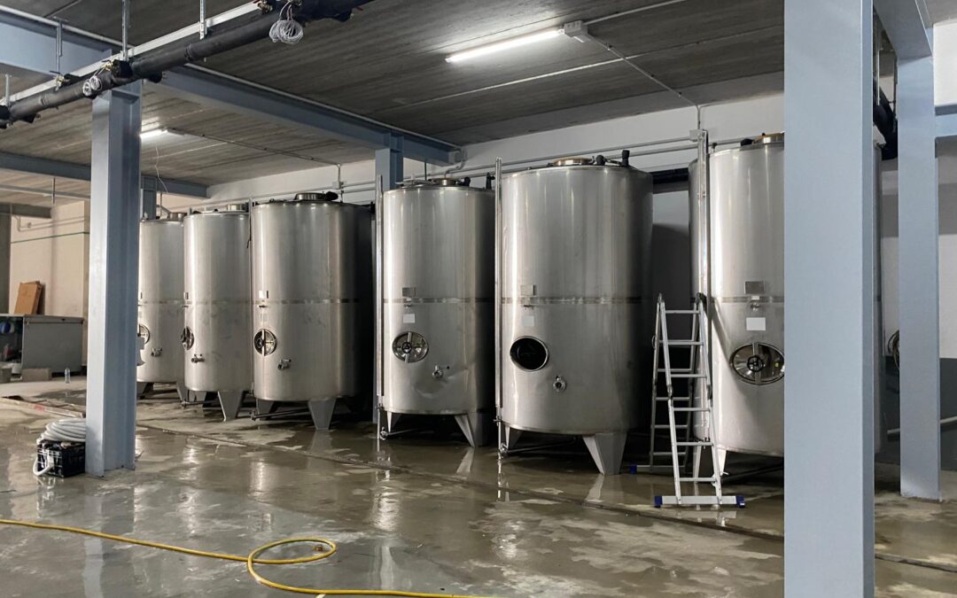 Proyecto ampliación Bodega de vino Alto de Trevejos